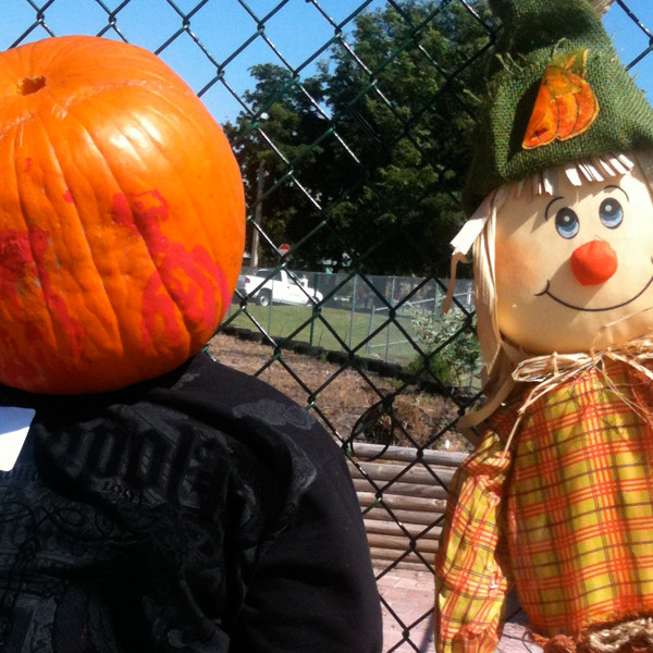 placeholder image-sq