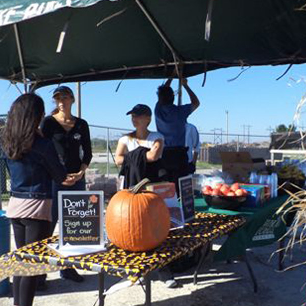 placeholder image-sq