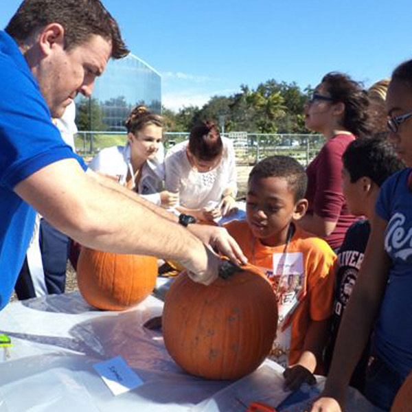 placeholder image-sq