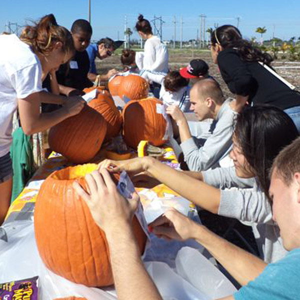 placeholder image-sq