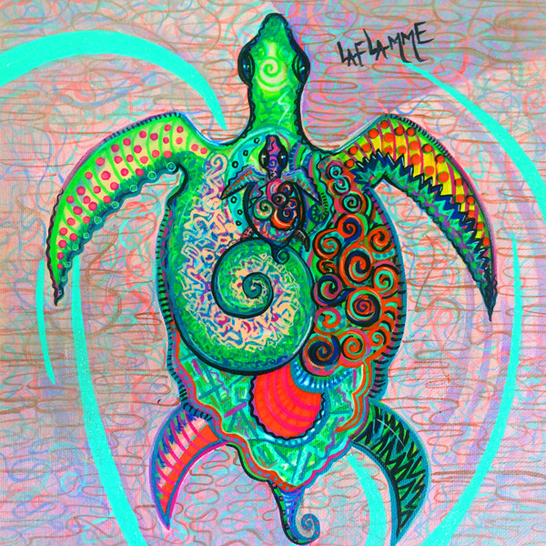 7a%20Jacklyn%20Laflamme%20turtle%20tortuga%20tortoise squashed-squashed