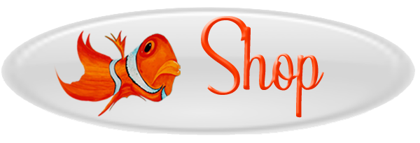 Buttons Surfboard-1-squashed