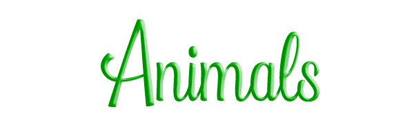 Jacklyn%20Laflamme%20owls%20furnitue%20Animals%20Home squashed